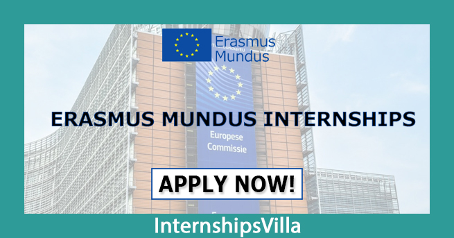 Erasmus Mundus Internship